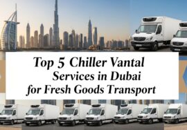 Chiller Van Rental in Dubai